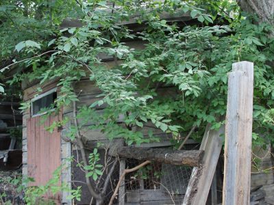 Беседка-ротонда