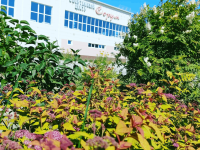 Центр культуры и спорта п. Сорум