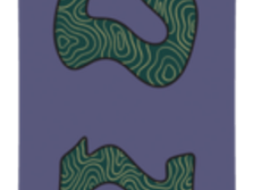 Сноуборд JOINT FANCY