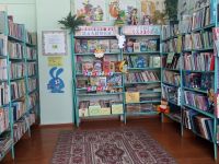 Брагинская поселенческая библиотека-филиал