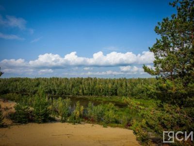 В Вилюйском районе вторую неделю ищут пропавшего в лесу ягодника