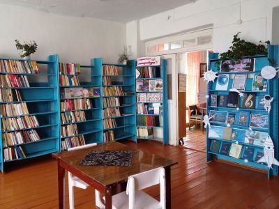 Владыкинская сельская библиотека