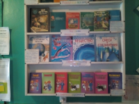 Библиотека с. Воскресеновка