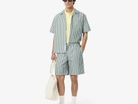 Мужские шорты Lacoste из хлопка