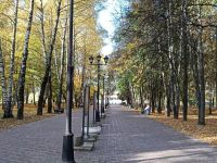 Центральный парк г. Долгопрудного