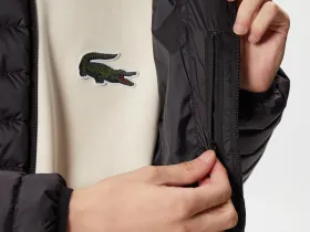 Мужская стеганая куртка Lacoste