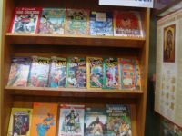 Библиотека № 17 с. Пыскор