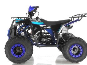 Квадроцикл WELS Thunder Evo