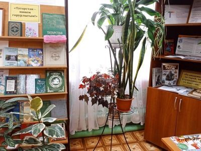 Конская сельская библиотека, филиал № 10