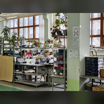 Экскурсия на фабрику «Тульская гармонь»