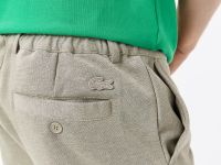 Мужские брюки Lacoste стандартного кроя
