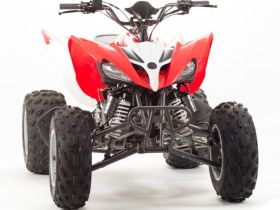 Квадроцикл MOTOLAND 125S (2020 Г.)