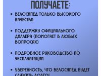 Детский велосипед Pifagor Point 16, год 2024, цвет Оранжевый-Белый