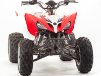 Квадроцикл MOTOLAND 125S (2020 Г.)