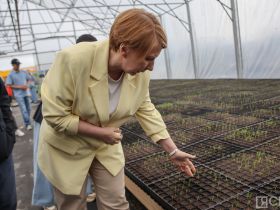 Крупнейший в Якутии лесопитомник открыли в селе Табага