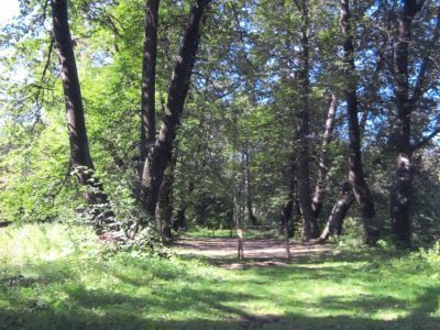 Парк усадьбы Долгоруковых - Алексинских "Опарино", 2-я пол. XVIII-XIX вв.