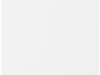 Стекло защитное RedLine