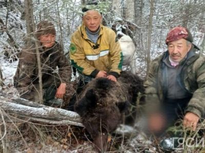 В Усть-Майском районе Якутии охотники ликвидировали медведя-людоеда