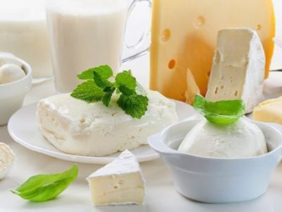 Производители молока улучшили качество продукции