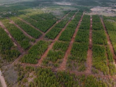 В Якутске 5 июня начнется распределение земельных участков для многодетных семей