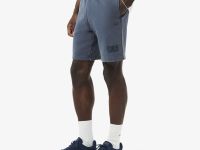 Мужские шорты Lacoste из хлопка