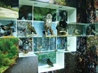 Копейский краеведческий музей