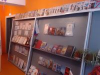 Красноармейская библиотека