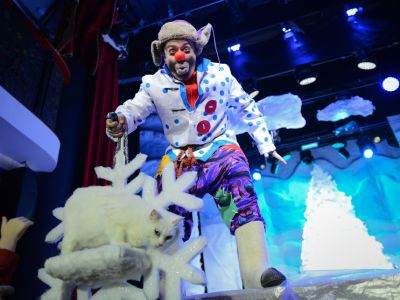 Билеты на Зимняя сказка (Театр кошек Куклачёва) / Театр | Афиша | ИнфоТаймс