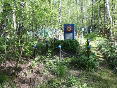 Памятник воинам, умершим от ран в госпиталях с. Троицкое (братская могила)