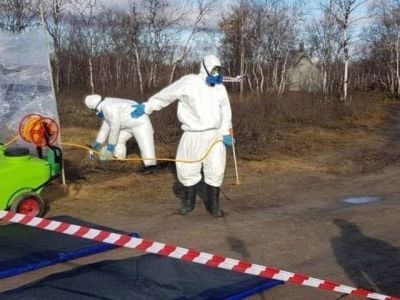 Россельхознадзор предупредил об опасности заноса вируса птичьего гриппа в Якутию