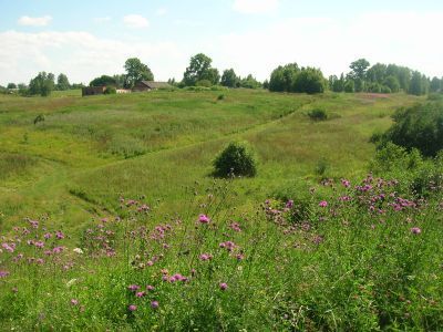 Памятное место, где в феврале 1942 г. был создан партизанский отряд под руководством Г.И. Романова. Деревня сожжена карателями