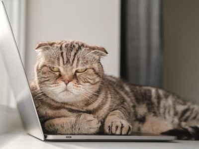 МТС приглашает бизнес Якутии на бесплатные вебинары по цифровизации