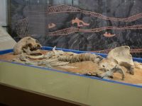 Отдел истории Иркутского краеведческого музея им. Н. Н. Муравьева-Амурского