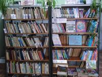 Дмитриевская сельская библиотека