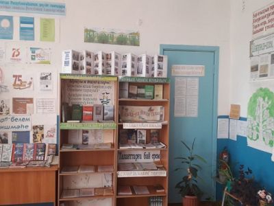 Юлдашевская сельская модельная библиотека