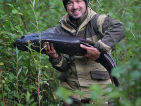 Рыбалка на трофейного тайменя на реке Гонам