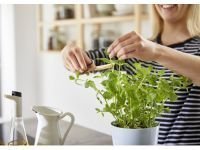 Mepal Двойной горшок для растений Nordic Blue Hydro Herbs Mepal