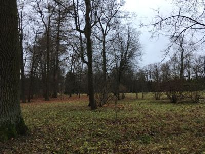 Павильон Купальня (остатки)