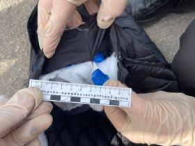 В Алданском районе задержан наркокурьер с крупной партией запрещенных веществ