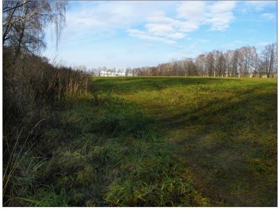 Фруктовый яблоневый сад