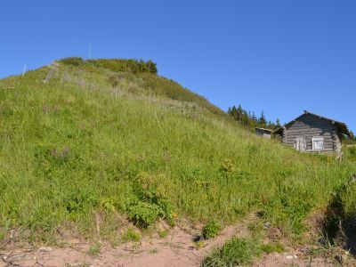 Тоня "Быстрица"