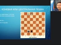 Международный вебинар «Ферзевый эндшпиль»