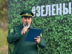 Якутяне высадили 600 сосен для геоглифа «Победа-80»