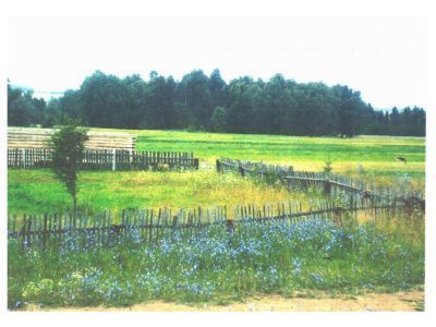 Священная роща