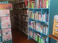 Усть-Хойзинская сельская библиотека