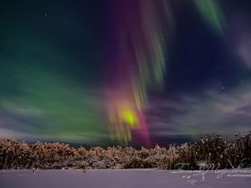 Переливы северного сияния засняли в окрестностях Якутска