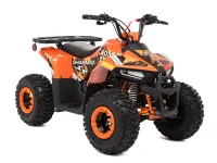 Квадроцикл SHARMAX Cross 150 (2024)