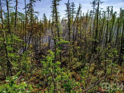 В Якутии проведут эксперимент по вызову осадков для борьбы с пожарами