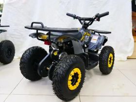 Электроквадроцикл MOTAX Grizlik X16 New E1000