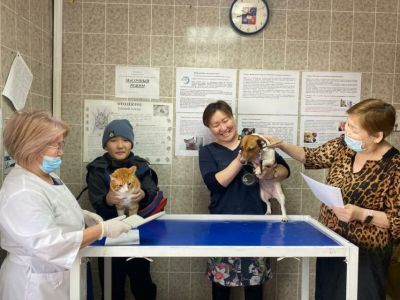 Якутские ветеринары вакцинируют домашних животных отечественной вакциной